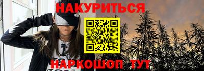 прущие грибы Нальчик